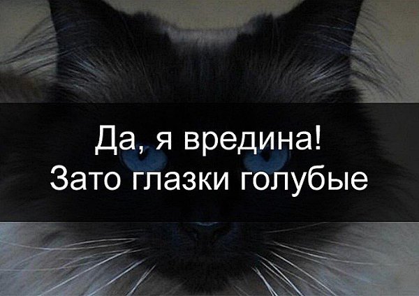 Редиска картинках, картинки с надписями про вредину