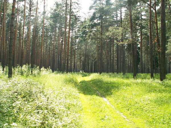 Знакомства иваново фото