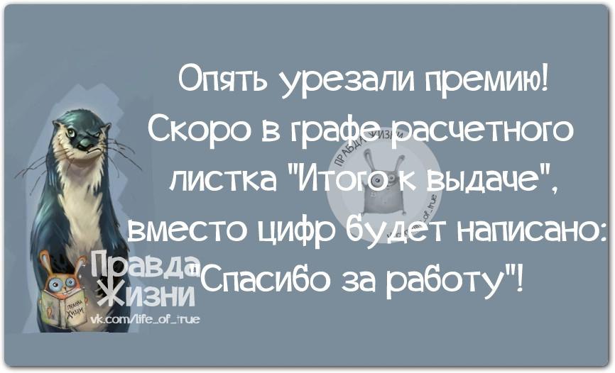 Смешные цитаты с картинками правда жизни