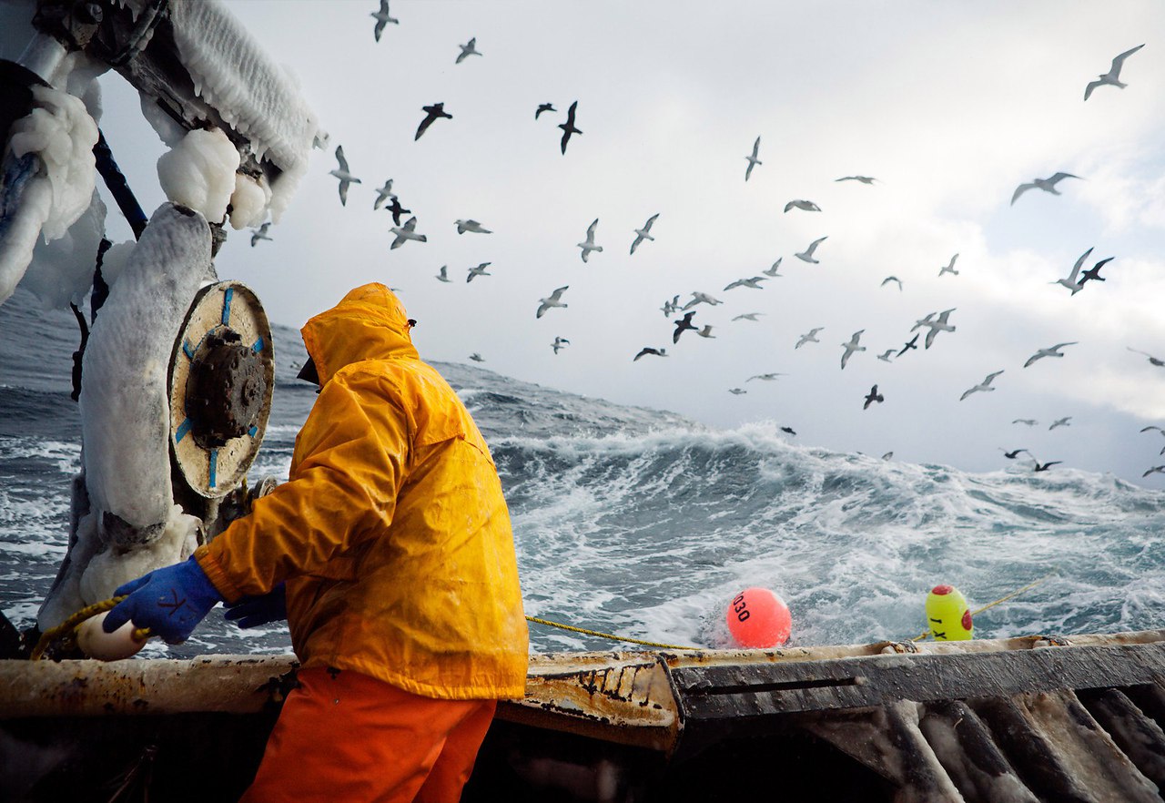 Рыбный промысел в Беринговом море