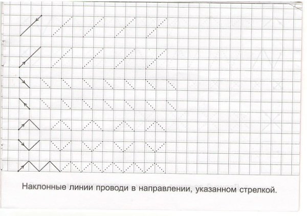 Вася нарисовал на клетчатом листе кружок а потом провел черную линию