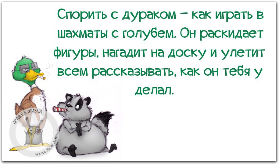 Спорить с дураком все равно что играть в шахматы с голубем картинка