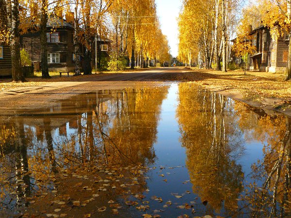 Фото чагода вологодской