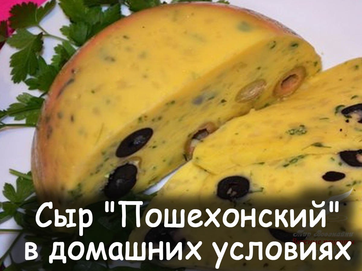 Сыр пошехонский рецепт