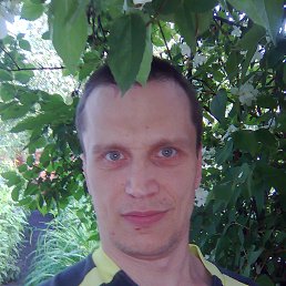 Александр, 48 лет, Самбор