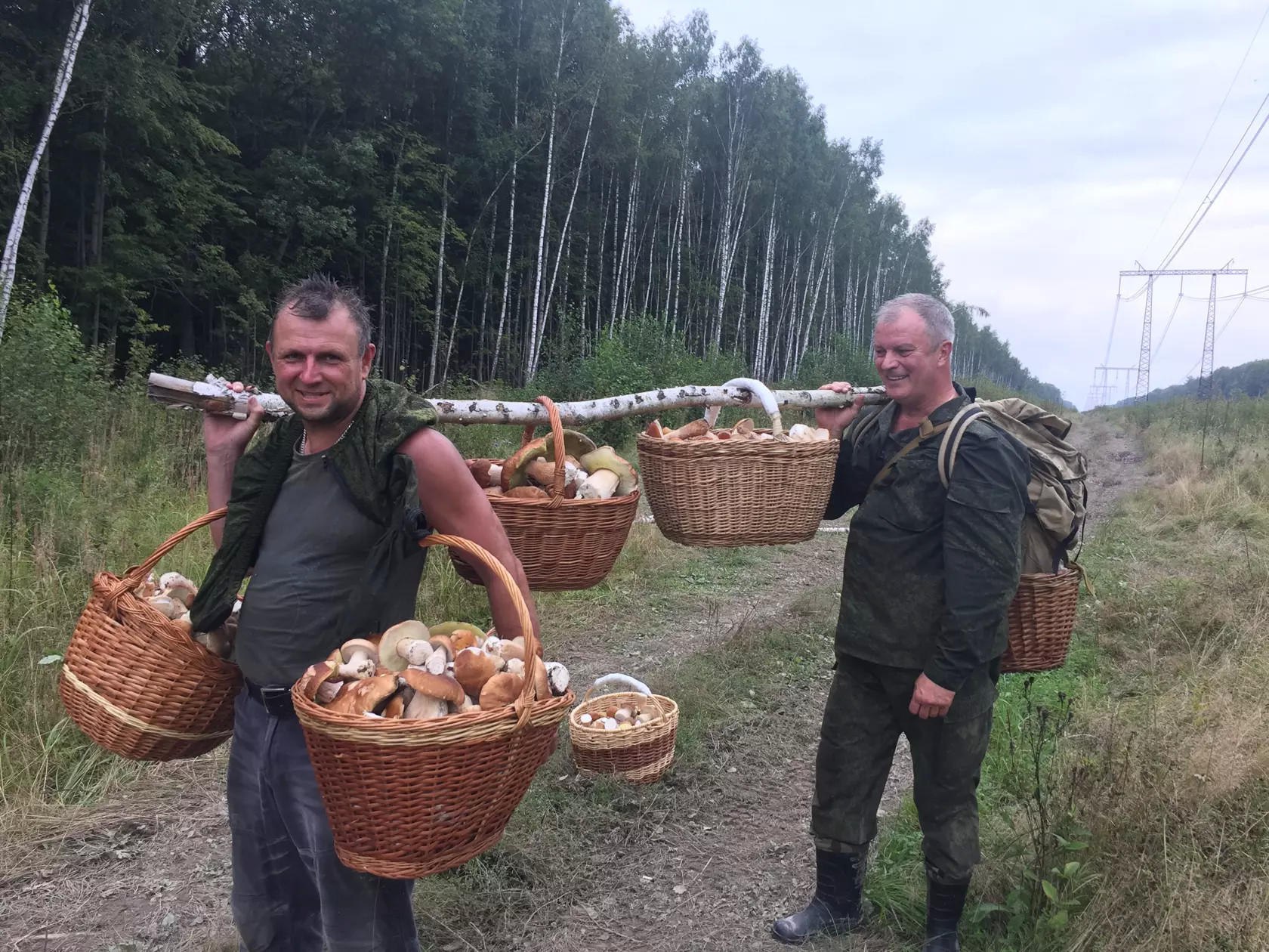 Грибники в одноклассниках