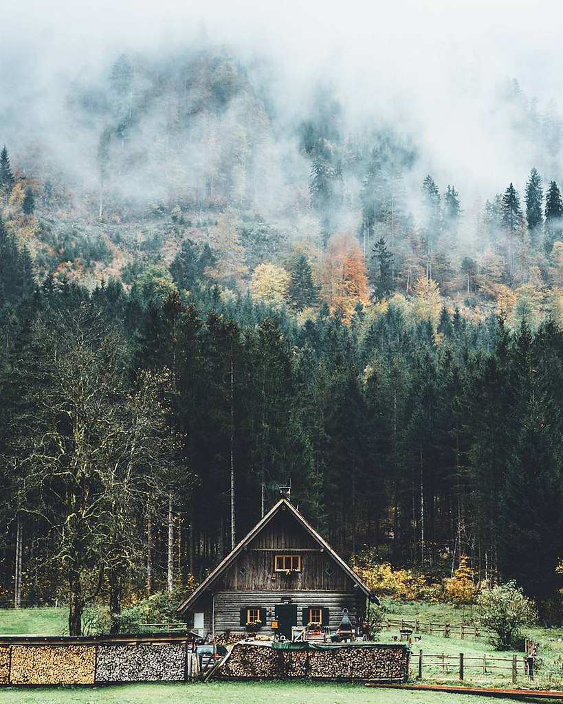 Дом в Скандинавии в лесу