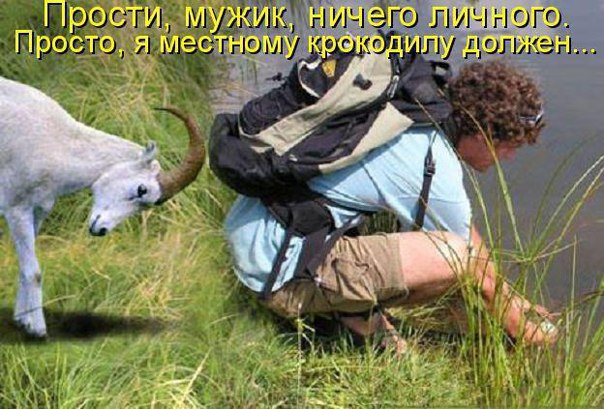 Мужик козел картинка