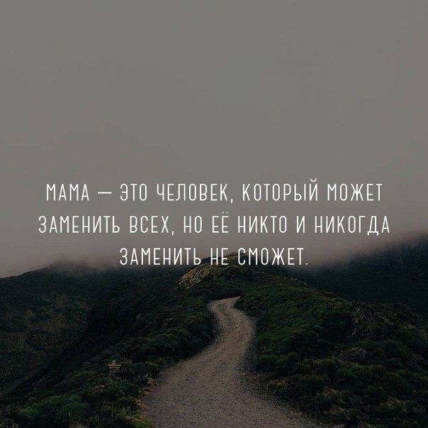 Картинки макаруны, красивые картинки и статусы в инстаграм