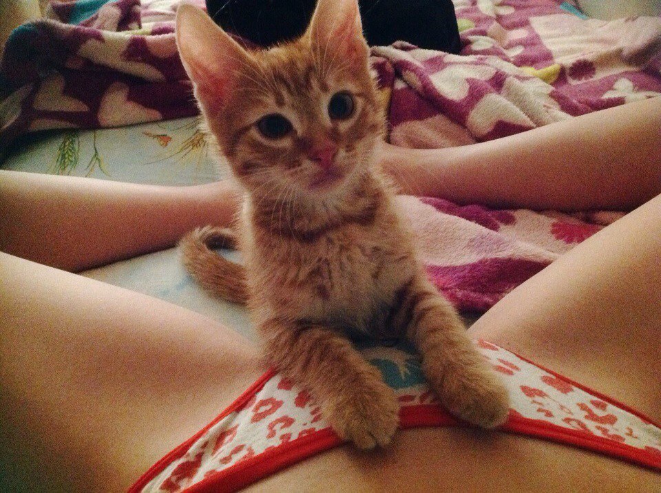 Kalel Kitten Naked