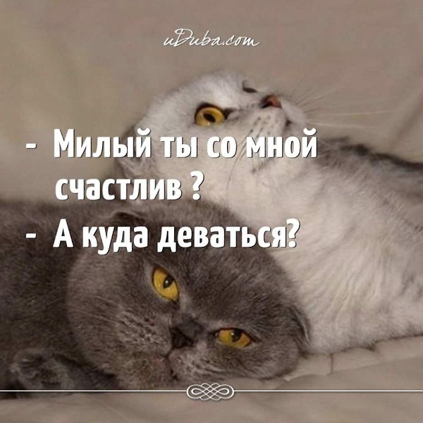 2605990272.jpg