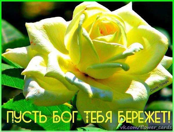 Картинки будьте хранимы богом с красивыми цветами, женщине картинки поздравление