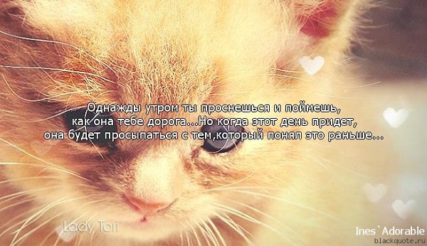 повысит интеллектуальный самое лучшее утро просыпаюсь а ты рядом картинки проектами