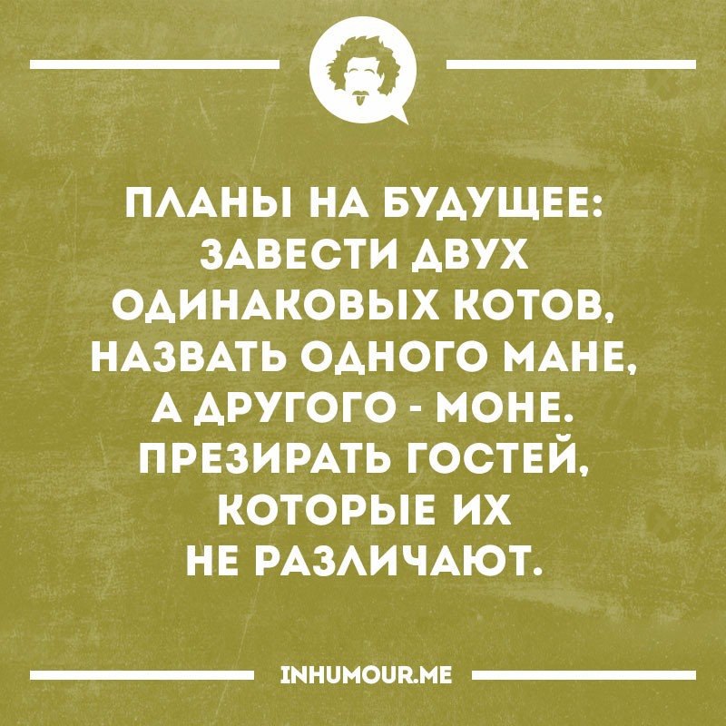 Другое моней. Планирование смешно. Планы на будущее прикол. Шутки про планы на будущее. Планы на будущее завести двух одинаковых котов.