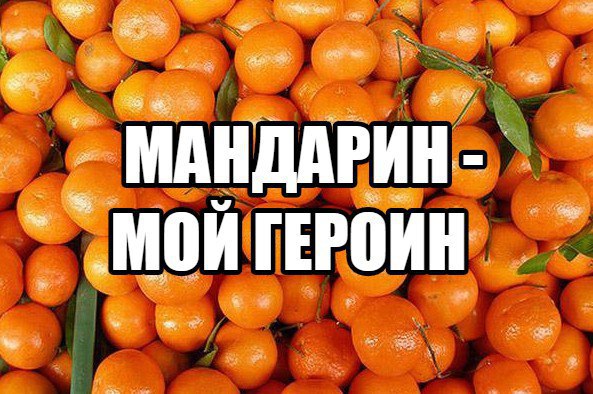 Ты мой супчик ты моя мандаринка