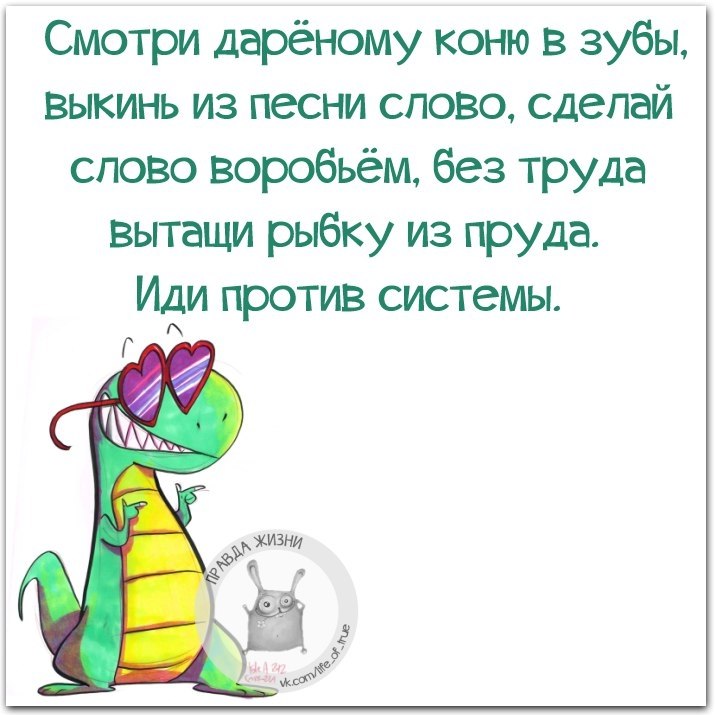 Дареному коню в зубы не смотрят. Дарёному коню в зубы не смотрят. Пословица дареному коню в зубы. Выражение дареному коню в зубы не смотрят. Дарёному коню в зубы не смотрят значение пословицы.