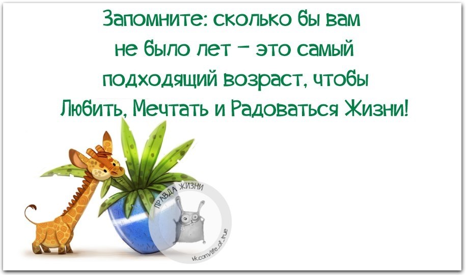 Жизнь любит не тех кто ноет по пустякам а тех кто по пустякам радуется картинки