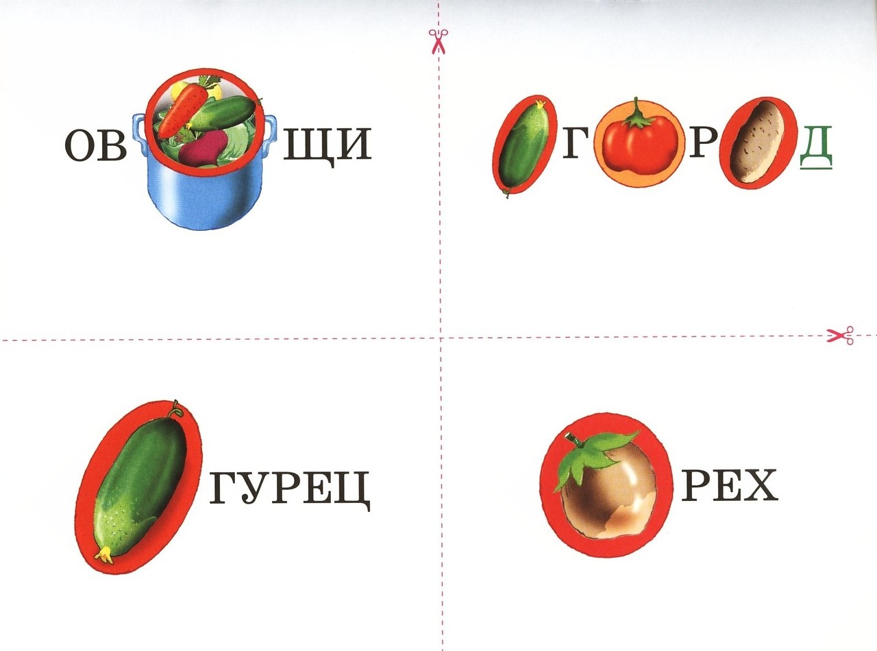 Словарные слова с рисунками для запоминания