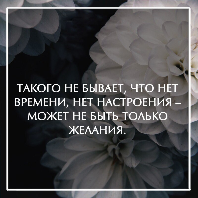 Всегда найдет время. Нет времени цитаты. Тишина иногда самый лучший ответ на вопросы. Цитаты про желания. Цитаты по настроению.