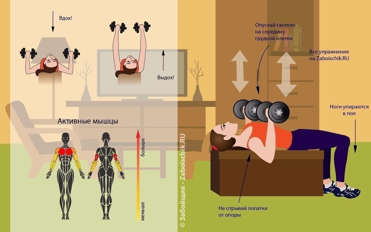 Упражнения на группы мышц на картинках