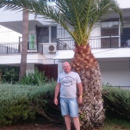 , 52 , 