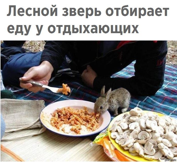 Забрать еду