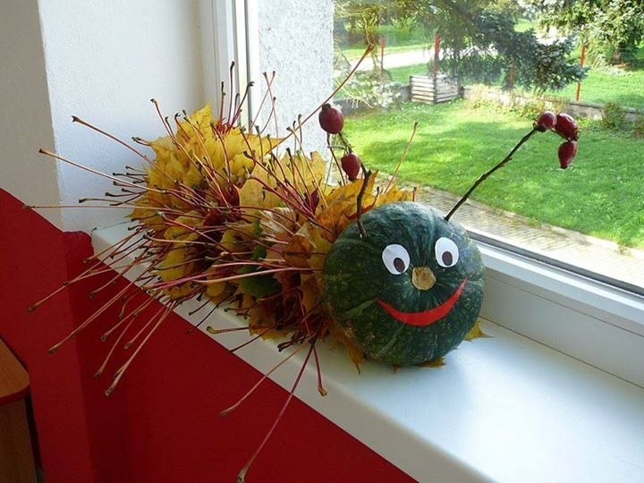 Гусеница Из Листьев Фото