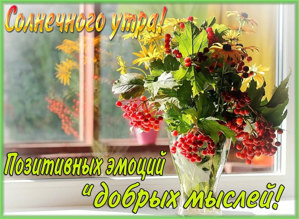 С добрым утром солнце картинки красивые осенние, смешных картинках