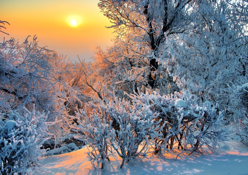 Сильный утренний мороз сковал. Зима солнце. Солнечный зимний день. Зимнее утро. Февральский пейзаж.