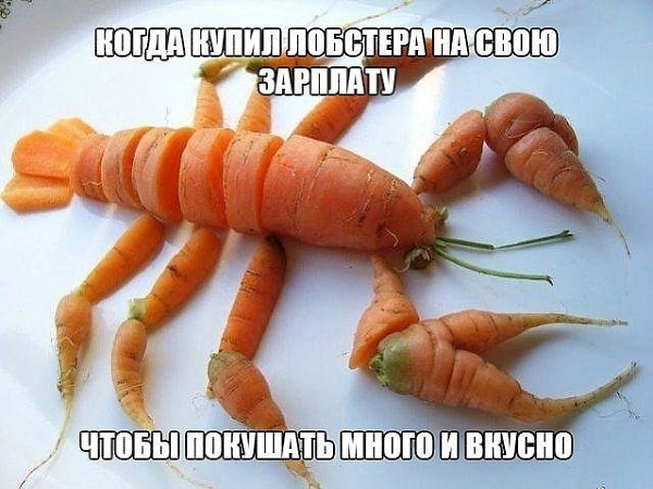 Это не матрас это сало