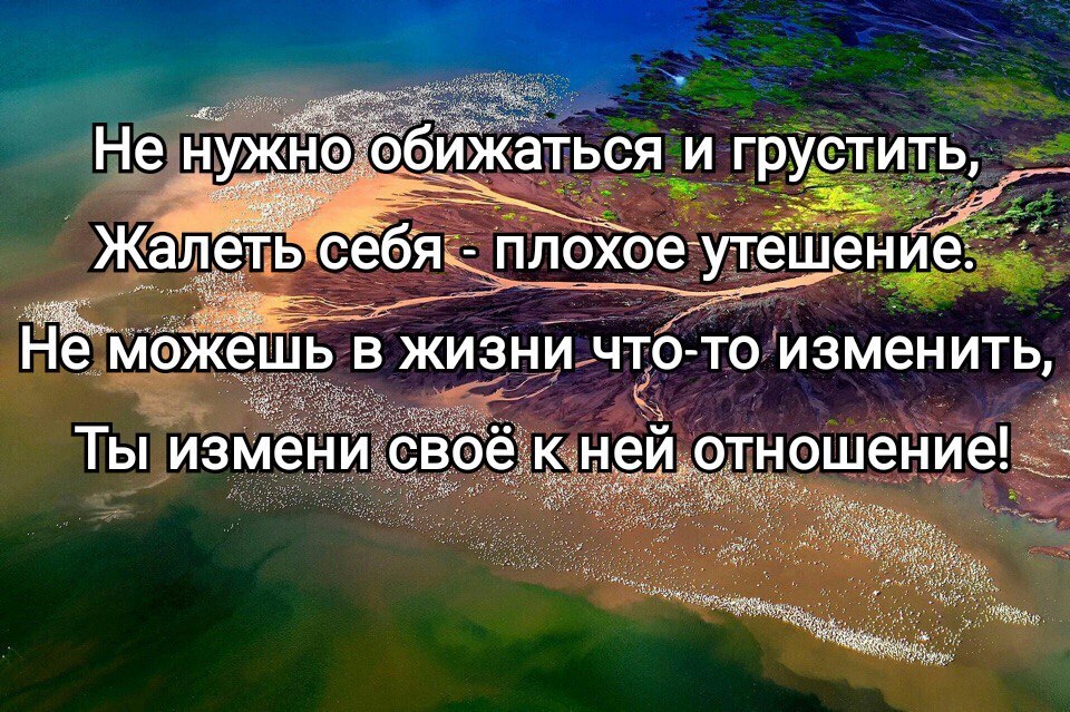 Жалеть себя не обязательно а вот беречь необходимо картинка с надписью