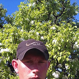 , 36 , 