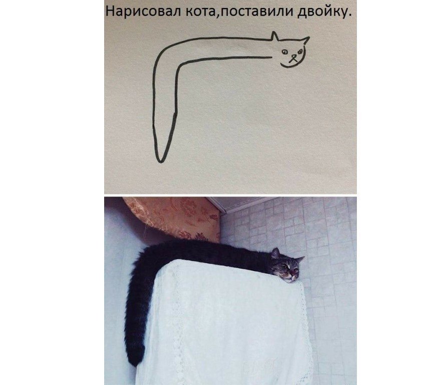 Нарисовал кота поставили 2