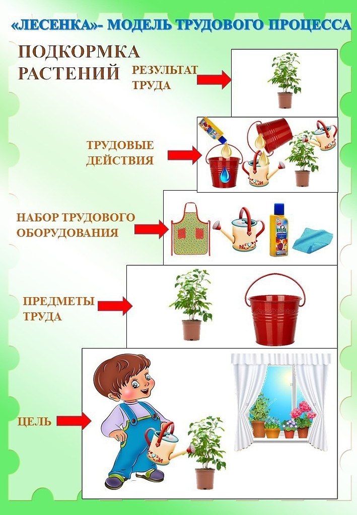 Дети ухаживают за комнатными растениями картинки