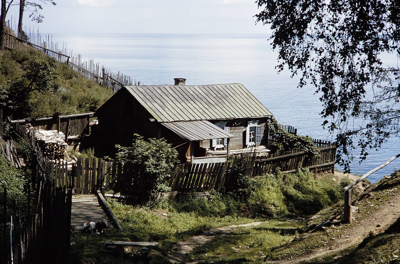 Фото старой листвянки