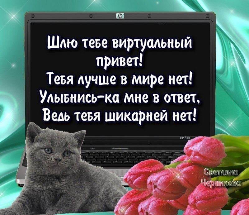 Шлю снять проститутку великого новгорода