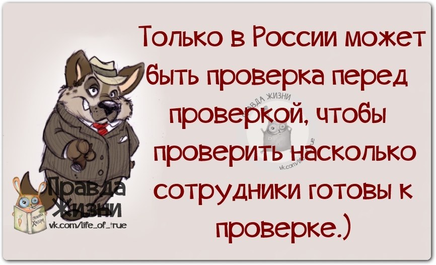 Проверь высказывания. Проверка на работе приколы. Правда жизни про работу. Высказывания про работу. Проверка на работе картинки смешные.