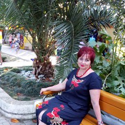 �����, �������, 54 ����