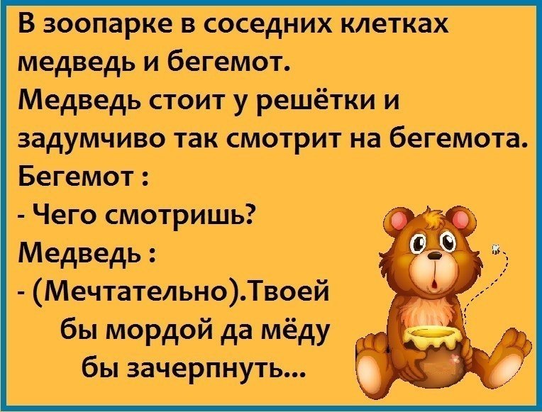 Медведь иди сюда. Анекдот про медведя. Анекдот про медвежонка. Анекдоты про мишку. Анекдоты про медведей смешные.