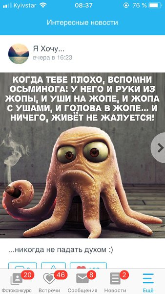 Картинка про осьминога прикол