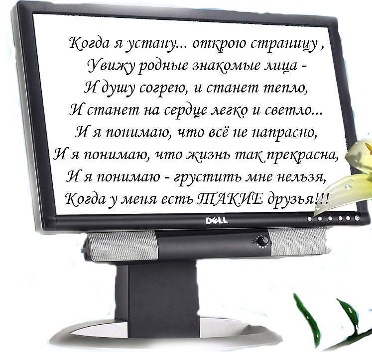 Картинки про одноклассников с надписями