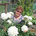 Фото Татьяна Сурнина, Омск, 63 года - добавлено 21 сентября 2018 в альбом «Лента новостей»