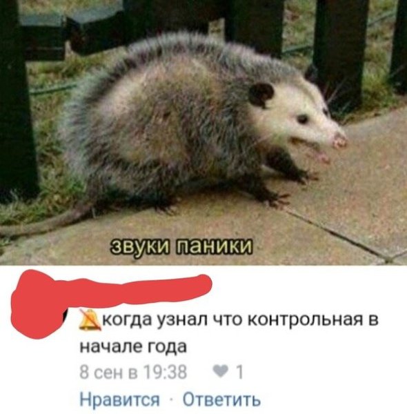 Картинка звуки паники