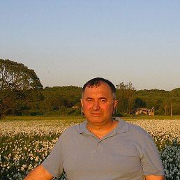 , 61 , 