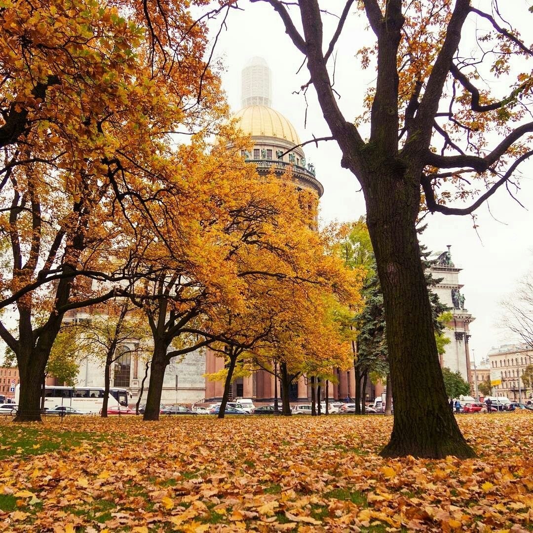 Санкт петербург фото осень