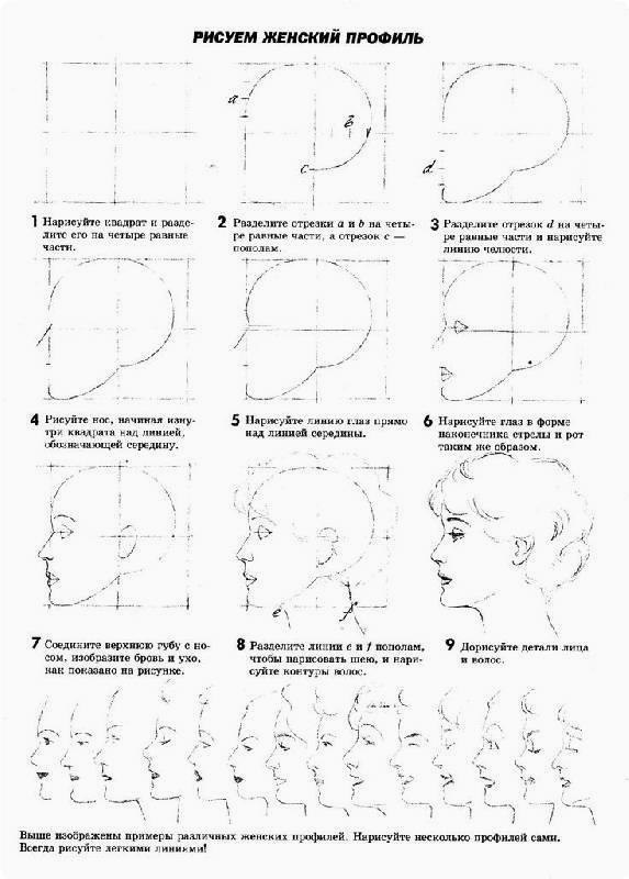 Рисуем голову и фигуру человека