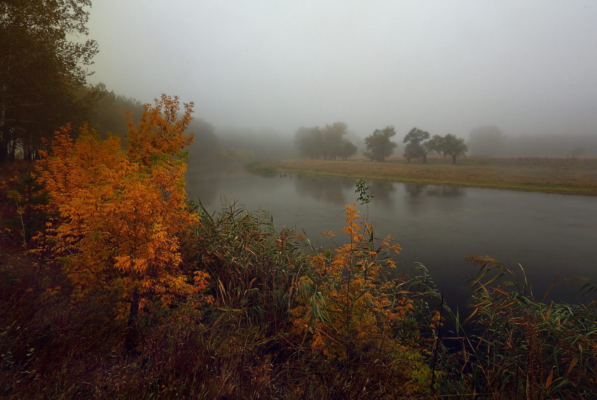 Река пасмурная. Пасмурная осень. Хмурая осень. Осень туман. Пасмурный день.