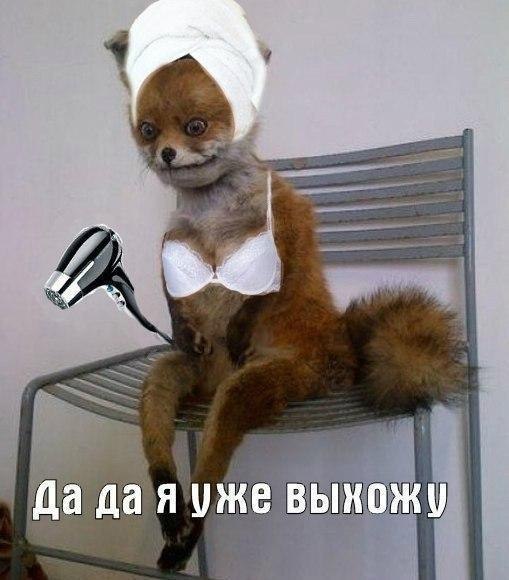 Уже подъезжаю картинка