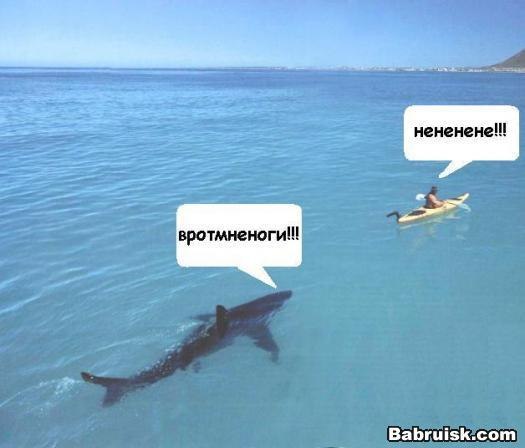 Вротмненоги livejournal. Нененене. Вротмненоги. Вротмненоги livejournal. Vrotmnenogi lj.