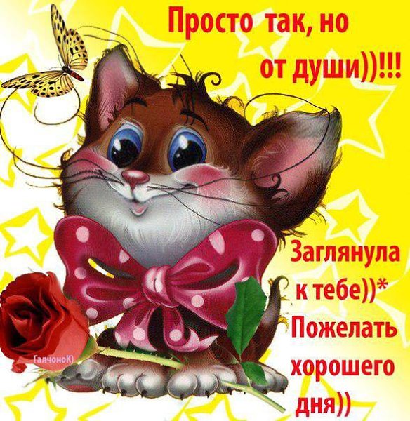 просто так пожелание хорошего дня картинки